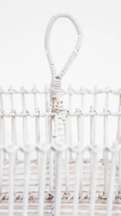 CANASTO ESPECIERO BLANCO - SENTIDO