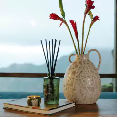 Imagen de TEMPLE MOSS VELA LATA CHICA