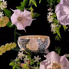 JASMINE MIDNIGHT VELA LATA MEDIANA - SENTIDO