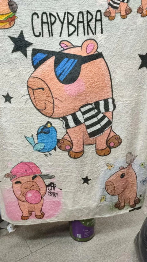 Frazada Flannel Infantil CAPIBARA / CARPINCHO 1 1/2 Plaza - comprar online