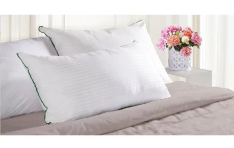 Almohada Alcoyana Estudio Clasica