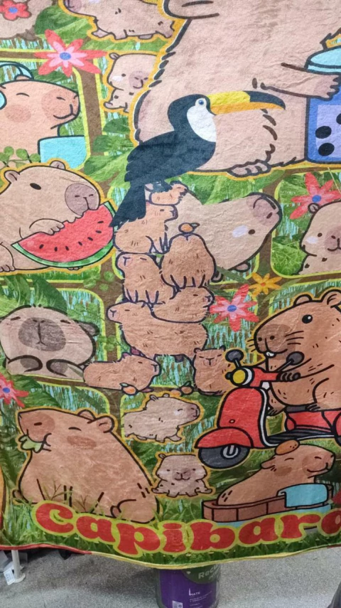 Frazada Flannel Infantil CAPIBARA / CARPINCHO 1 1/2 Plaza en internet