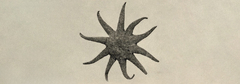 Banner de la categoría Bodys