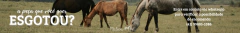 Banner da categoria Camisas