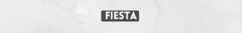 Banner de la categoría FIESTA