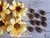 Miolo da Margarida P - 10 Unidades - comprar online