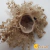 Peruca de Cabelo Encaracolado - Loiro Escuro - comprar online