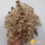 Peruca de Cabelo Encaracolado - Loiro Escuro na internet