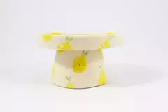 Pie de torta mini, estampado limones con carita