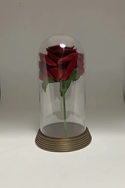 Cúpula Luxuosa -11cm só a cúpula (Bela)