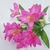 Folhagem Tropicália Pink - comprar online