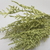 Folhagem Bosque Encantado - comprar online
