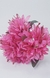 Flores Pink Stitch na internet