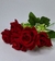 Buquê Rosas Vermelhas - Veludo (5 Rosas) na internet