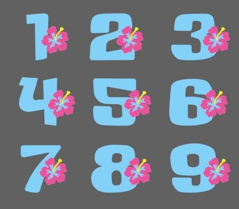 Números - Stitch - Flor Hibisco