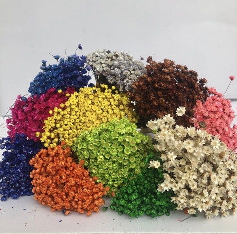 Sempre Viva Flores Secas (aproximadamente 250)