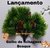 Galho de Folhagem Bosque 15cm (und)