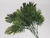 Folhagem Palmeira