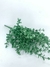 Folhagem Detalhes Glitter Sereia - comprar online