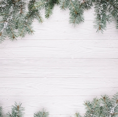 Fondos para fotos- Navidad 1