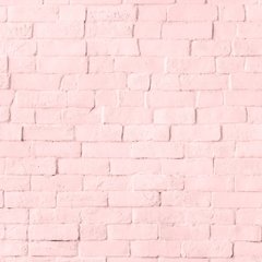 Fondos para fotos- Ladrillos rosas