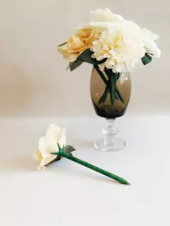 BOLIGRAFO JARDIN DE IDEAS - comprar online