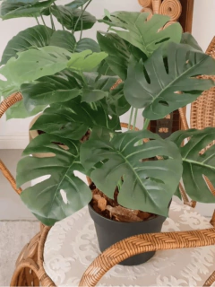 Imagen de MACETAS NEGRAS / 3 TAMAÑOS