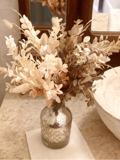 RAMO ALMENDRA en internet