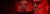 Banner rotativo 1