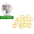 Gomas Intraorales X100u Ortodoncia Safari Ortho Organizers - Gross Dental