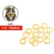 Gomas Intraorales X100u Ortodoncia Safari Ortho Organizers - comprar online