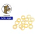 Gomas Intraorales X100u Ortodoncia Safari Ortho Organizers - Gross Dental