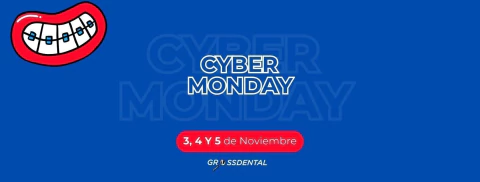 Imagen del carrusel 1