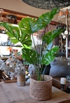 Planta Artificial Costilla De Adan Monstera 90 cm en internet
