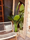 Planta Artificial Palmera 150 Cm