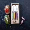 Juego X4 Cuchillos Untadores Multicolor Laguiole - comprar online