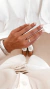 Anillo Argo en internet