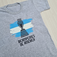 REMERA BANDERA COPA AMERICA 2024