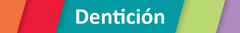 Banner de la categoría Dentición