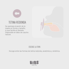 BIBS CHUPETE COLOUR FOSSIL GREY - MAUVE LATEX 0-6 M 2 UDS 110405 - Childs Especialistas en Bebes