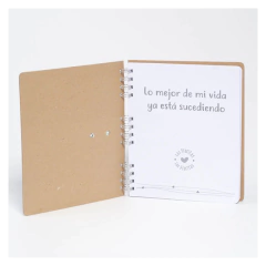 LAS FLORITAS DIARIO MATERNAL AVION en internet