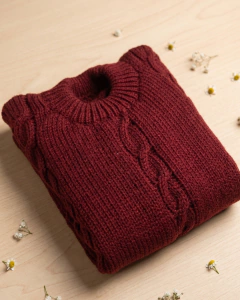 Sweater Santino - comprar online