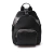 C/1461 (Negro)