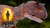 Dinosaurio Carnotaurus Hammond Collection Jurassic World - Original de Mattel en internet