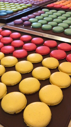Plancha para macarons 48 cavidades