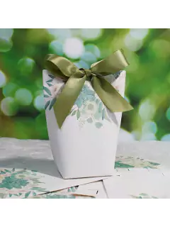 Caja bolsa con suculentas. Precio por unidad. - Capkelitos