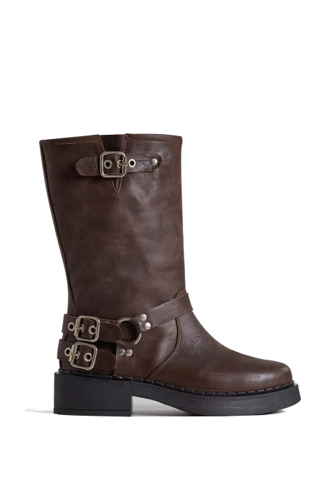 Borcego Artigas Chocolate - buy online