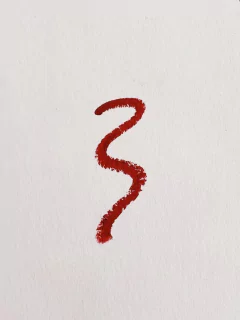 Labial Matte en internet