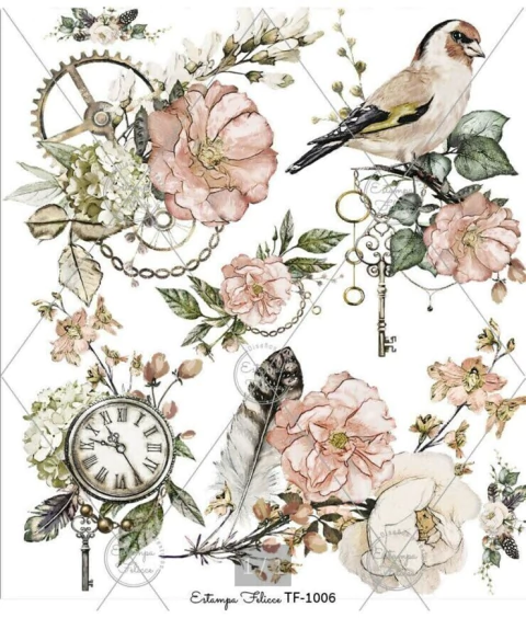 Folextransfer color FT-24 (copia) (copia) (copia) (copia) (copia) (copia)