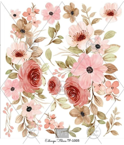 Folextransfer color FT-24 (copia) (copia) (copia) (copia)